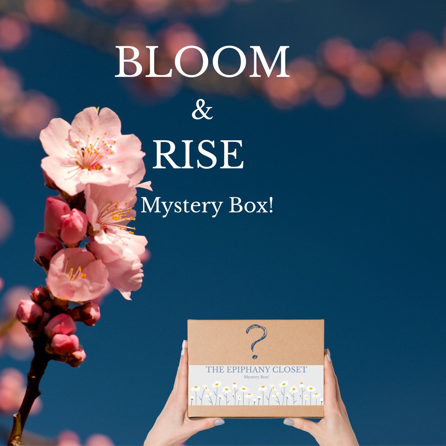 Mystery Boxes