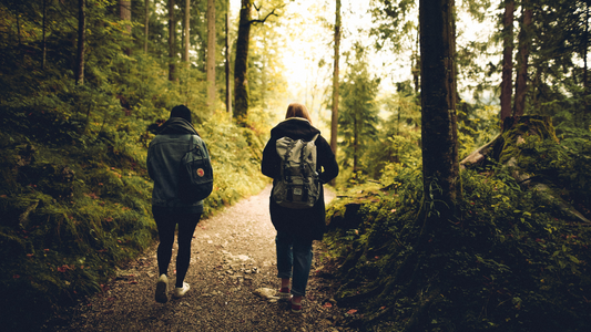 Two individuals walking along a forest path, enjoying nature and promoting community wellbeing.