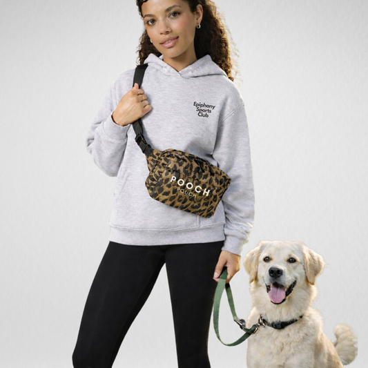Leopard Print Cross Body Dog Bag